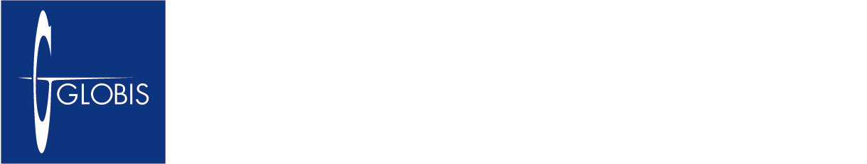 求人特集 グロービス(globis)
